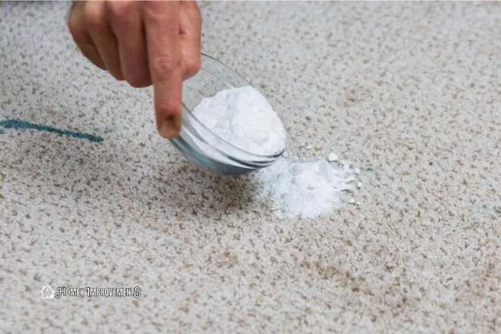 Apply the Baking Soda on the carpet