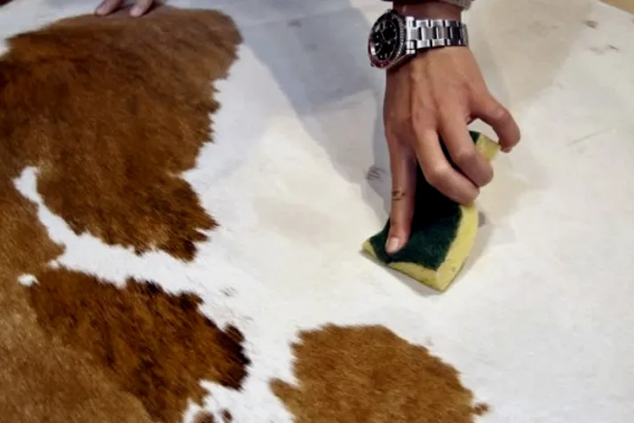 Clean Liquid Stains on the Cowhide Rug