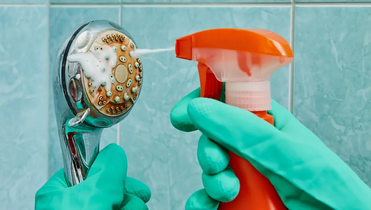 Clean Shower Head