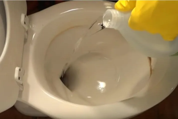 Cleaning toilet with White Vinegar