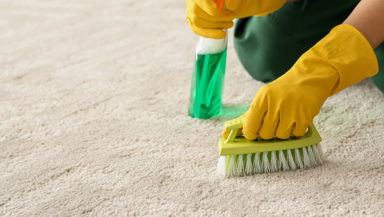 Deodorize Your Carpet