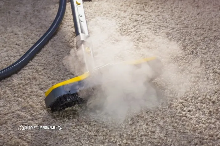 Dry the Wet Carpet