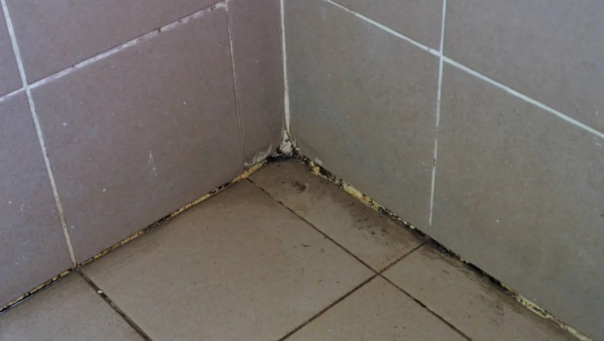 how to Remove Mold From Shower Caulk