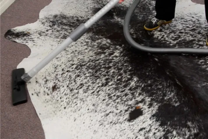 Use a Vacuum Cleaner on the Cowhide Rug